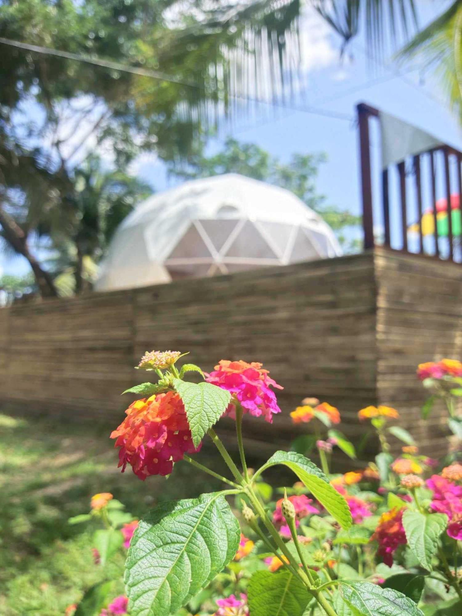 Eco Glamping Treehouses Closest Resort To All Tourist Attractions Balilihan Exterior foto